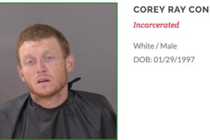 Sheriff’s Office Uses Helicopter and K-9’s to apprehend fleeing felon